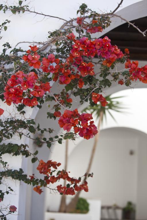 Elisso'S Philoxenia Aparthotel Agios Prokopios  Exteriör bild